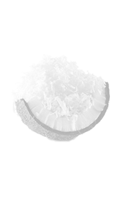 deicated-coconut.png